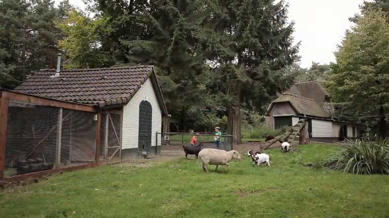 6 persoons bungalow nederland